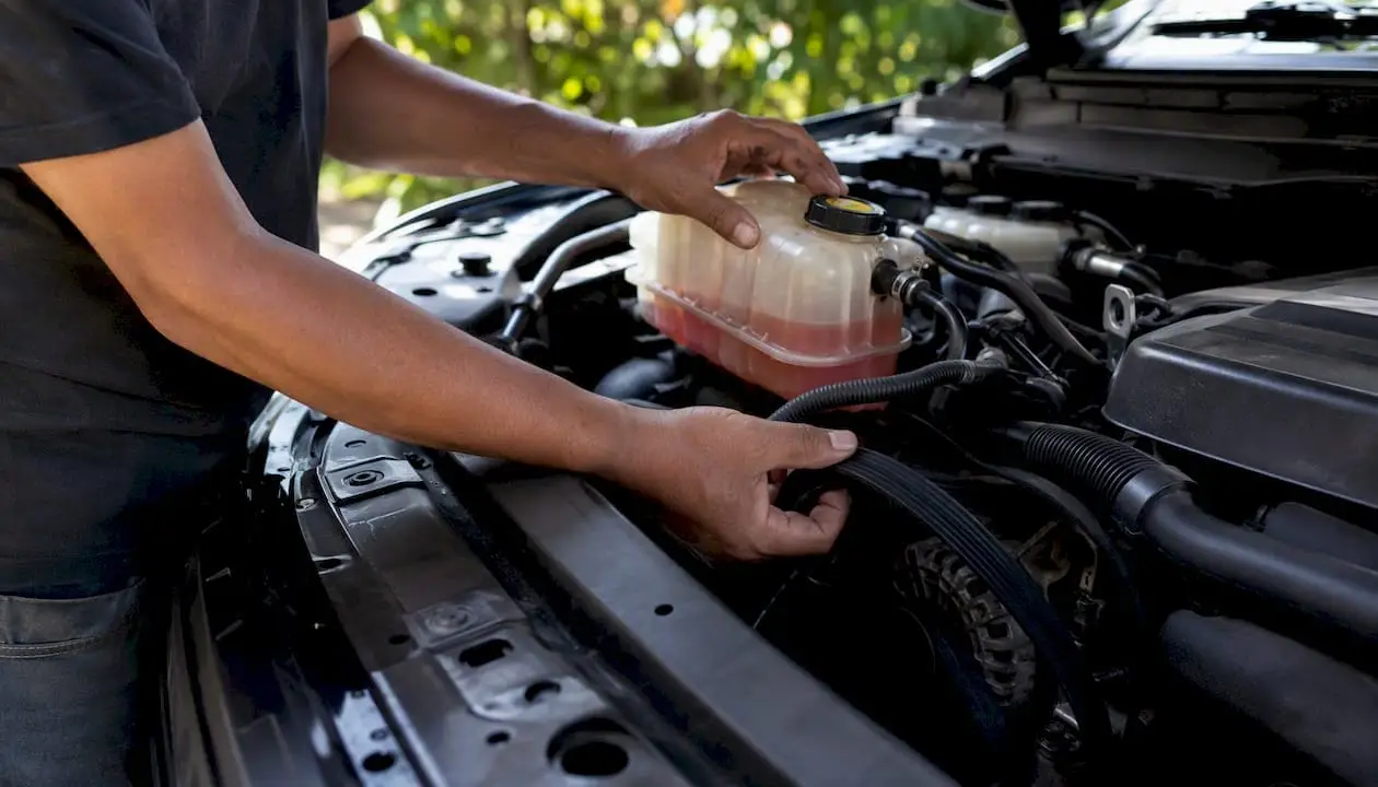Car engine coolant reservoir and serpentine belt