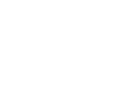 White lightning bolt inside circular outline on black background