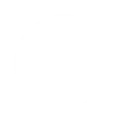 White three-spoke steering wheel icon on black background