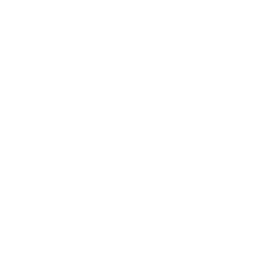 White three-spoke steering wheel icon on black background